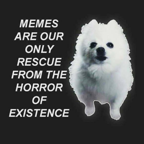 ISO THESE SHOES - Picture 12 of 13